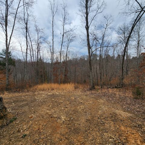584 Back Bone Rd, Sparta, TN 38583