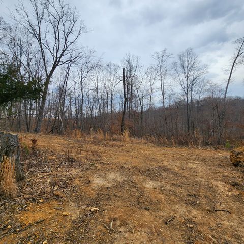 584 Back Bone Rd, Sparta, TN 38583