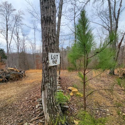 584 Back Bone Rd, Sparta, TN 38583