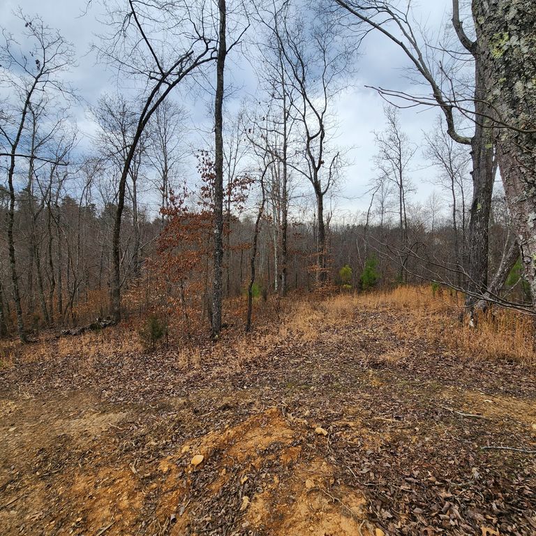 584 Back Bone Rd, Sparta, TN 38583