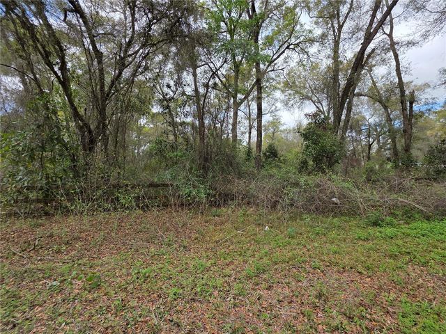 00 SE 30TH AVENUE, Summerfield, FL 34491