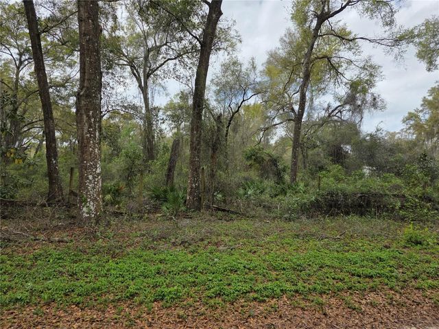 00 SE 30TH AVENUE, Summerfield, FL 34491