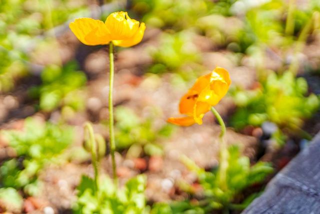 214 Fairmount Avenue, Santa Cruz, CA 95062