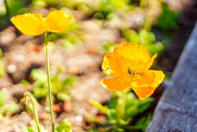 214 Fairmount Avenue, Santa Cruz, CA 95062