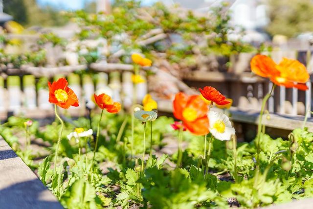 214 Fairmount Avenue, Santa Cruz, CA 95062