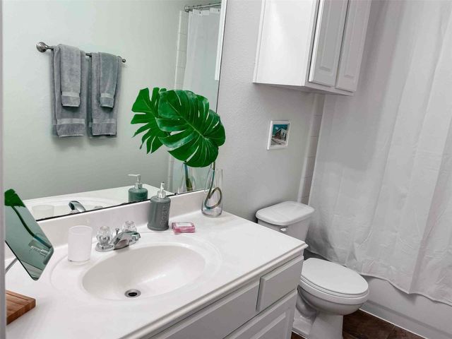 1308 Andrews Street, Houston, TX 77019