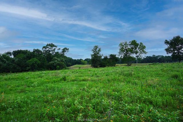 TBD Holle Ln, Washington, TX 77880