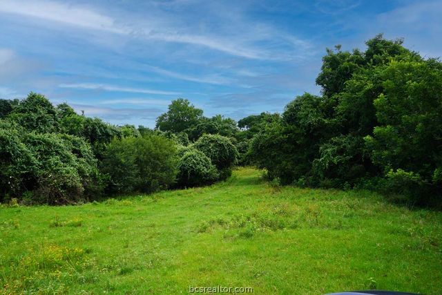 TBD Holle Ln, Washington, TX 77880