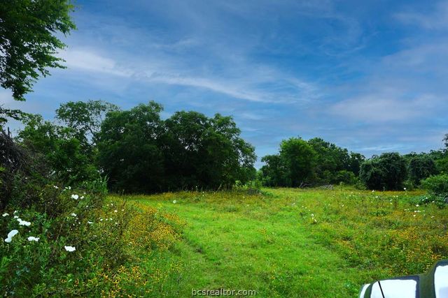 TBD Holle Ln, Washington, TX 77880