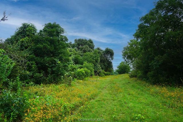 TBD Holle Ln, Washington, TX 77880