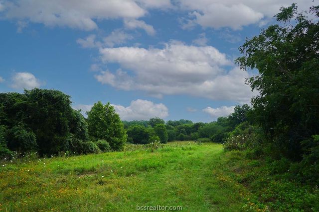 TBD Holle Ln, Washington, TX 77880