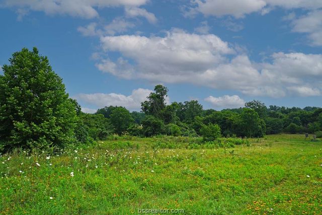 TBD Holle Ln, Washington, TX 77880