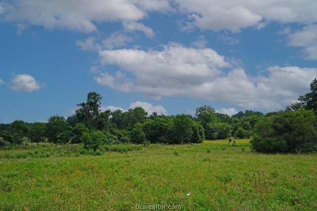 TBD Holle Ln, Washington, TX 77880