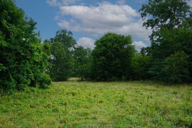 TBD Holle Ln, Washington, TX 77880