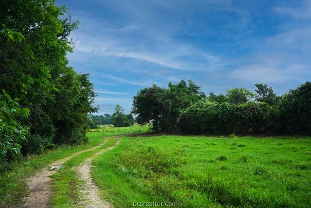 TBD Holle Ln, Washington, TX 77880