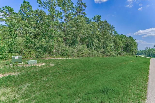 15546 Republic Park Trail, Willis, TX 77378