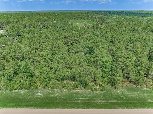 15546 Republic Park Trail, Willis, TX 77378