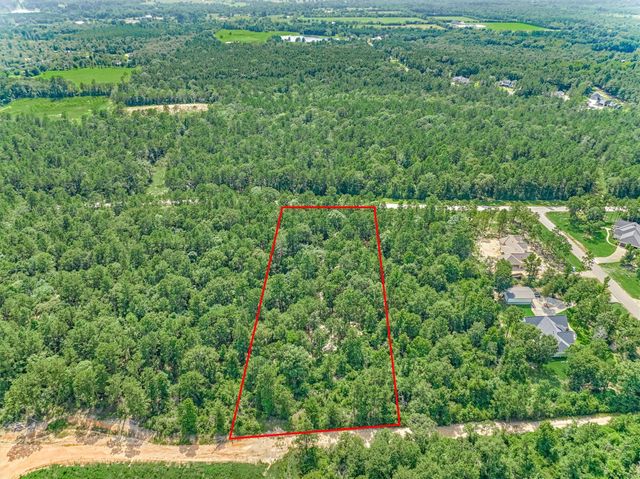 15546 Republic Park Trail, Willis, TX 77378