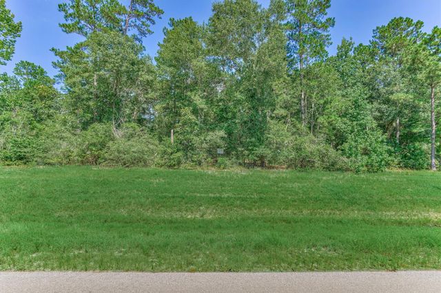 15546 Republic Park Trail, Willis, TX 77378