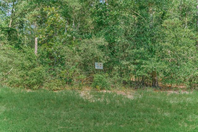 15546 Republic Park Trail, Willis, TX 77378