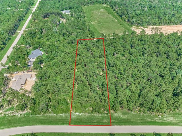 15546 Republic Park Trail, Willis, TX 77378