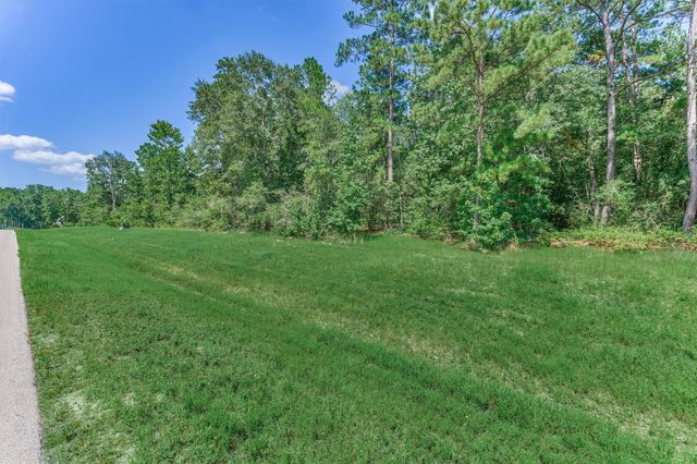 15546 Republic Park Trail, Willis, TX 77378