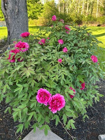 198 Kirk Road, Greece, NY 14612