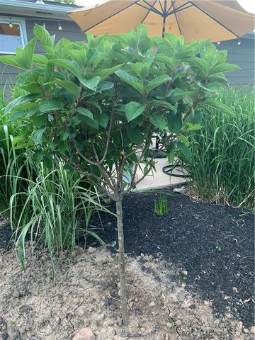 198 Kirk Road, Greece, NY 14612