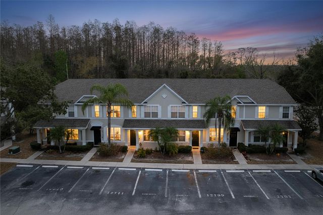 12711 SUNLAND COURT, Tampa, FL 33625