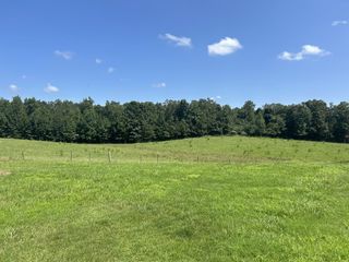 3421 George Olive Rd, Iron City, TN 38463