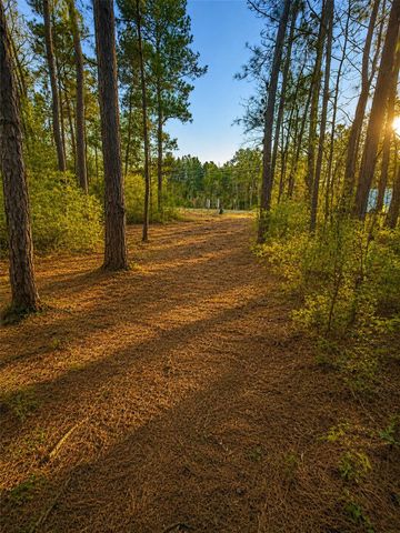 104 Coyote Run, New Waverly, TX 77358