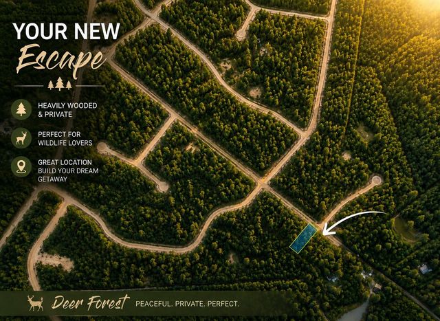 104 Coyote Run, New Waverly, TX 77358
