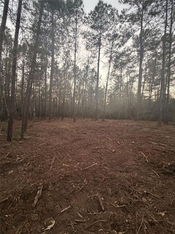 104 Coyote Run, New Waverly, TX 77358