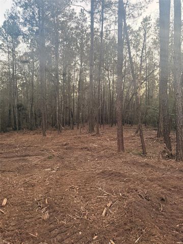 104 Coyote Run, New Waverly, TX 77358