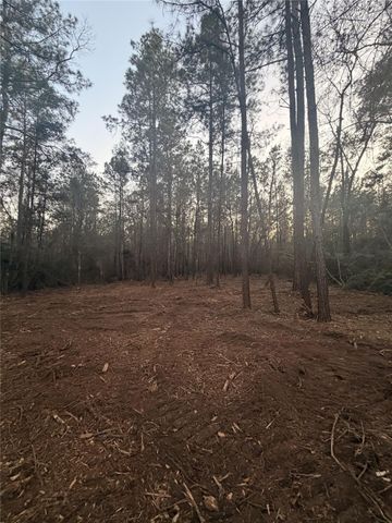 104 Coyote Run, New Waverly, TX 77358