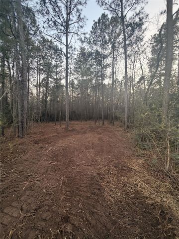 104 Coyote Run, New Waverly, TX 77358