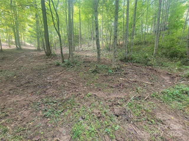 00 Bradford Park 10, Clyde, NC 28721