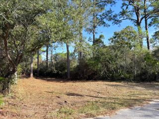 Lot 24 Greenbriar Lane, Santa Rosa Beach, FL 32459