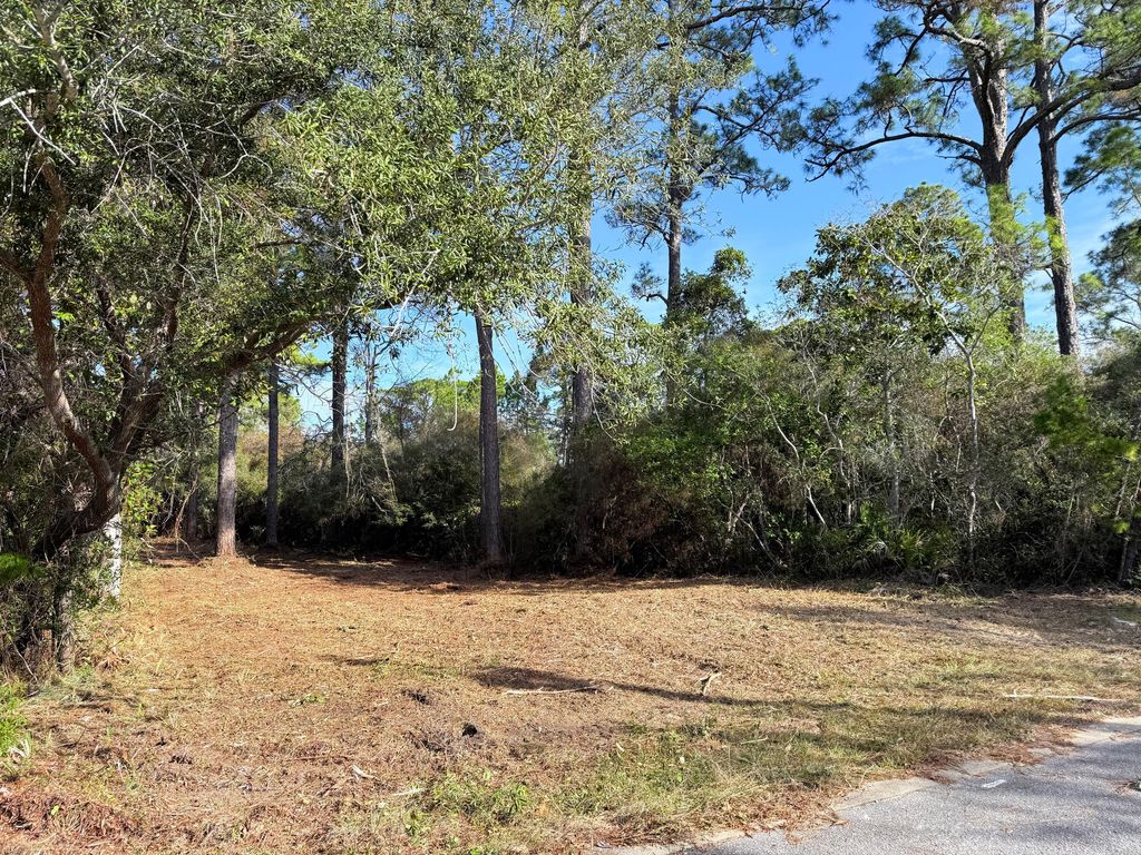 Lot 24 Greenbriar Lane, Santa Rosa Beach, FL 32459