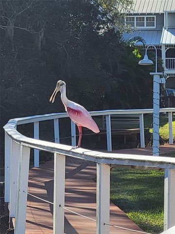 2599 DOLLY BAY DRIVE 306, Palm Harbor, FL 34684