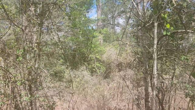 Lot 8 Yupon Lane, Plantersville, TX 77363