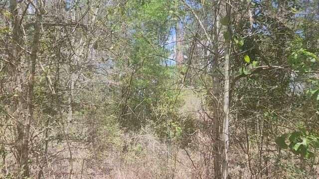 Lot 8 Yupon Lane, Plantersville, TX 77363