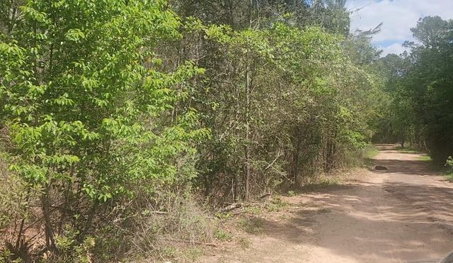 Lot 8 Yupon Lane, Plantersville, TX 77363