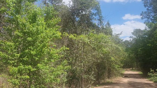 Lot 8 Yupon Lane, Plantersville, TX 77363