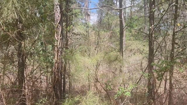 Lot 8 Yupon Lane, Plantersville, TX 77363