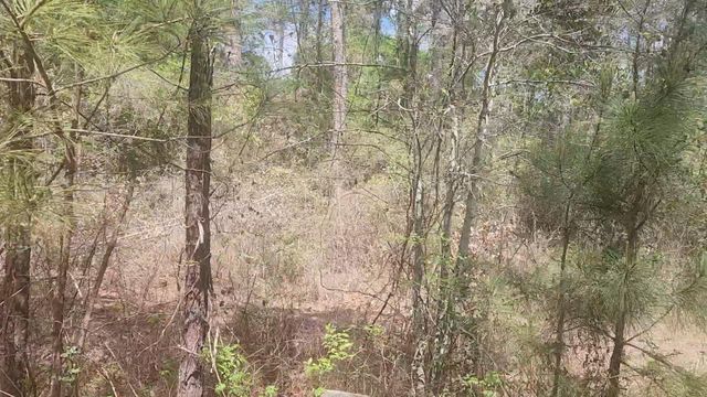 Lot 8 Yupon Lane, Plantersville, TX 77363
