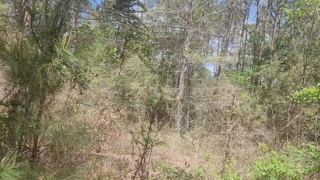 Lot 8 Yupon Lane, Plantersville, TX 77363