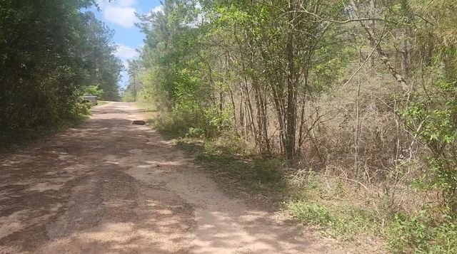 Lot 8 Yupon Lane, Plantersville, TX 77363