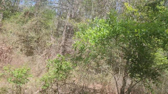 Lot 8 Yupon Lane, Plantersville, TX 77363