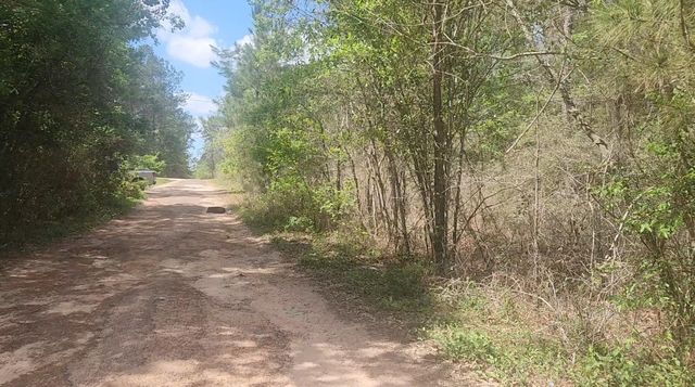 Lot 8 Yupon Lane, Plantersville, TX 77363
